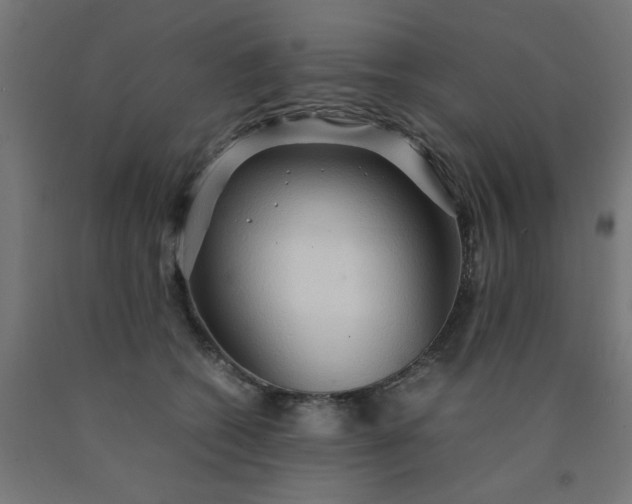 X0000090620562200707311246