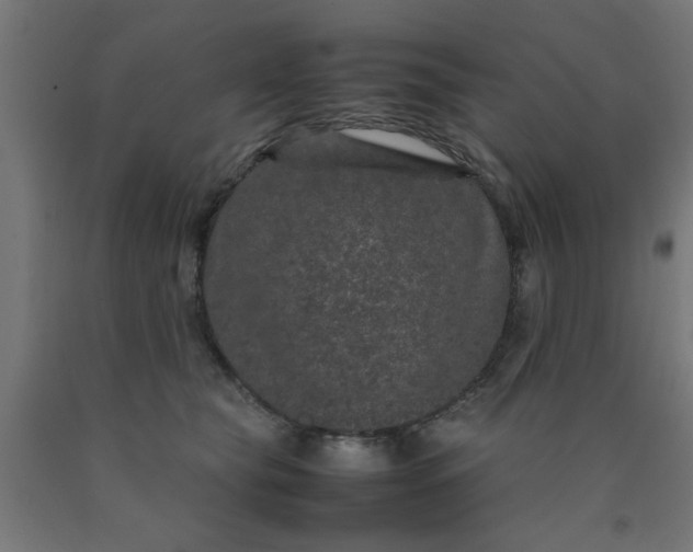 X0000090620565200707311246