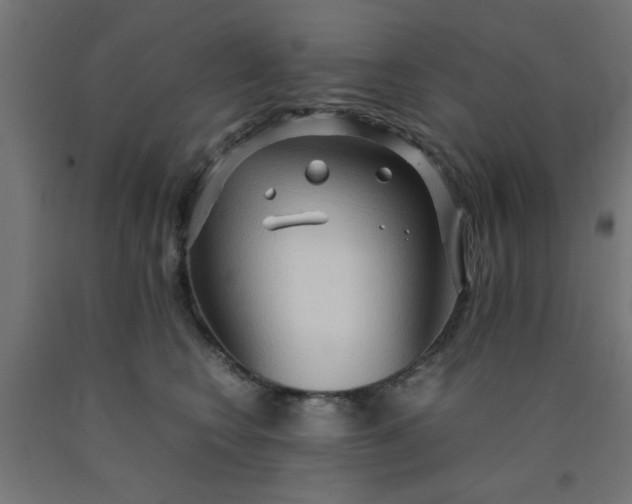 X0000090620566200707311246