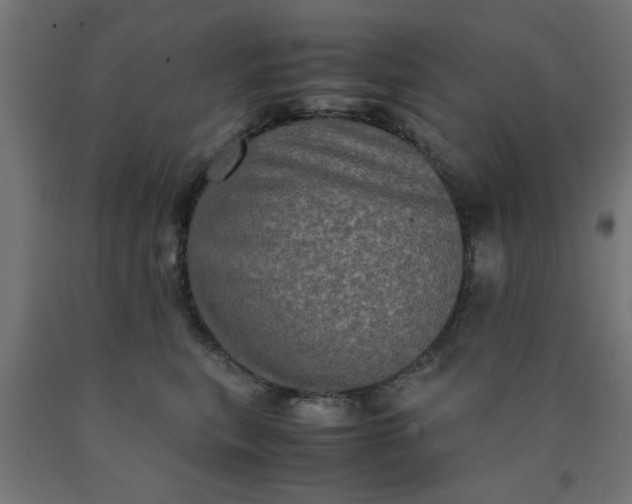 X0000090620567200707311246