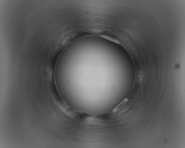 X0000090620568200707311246