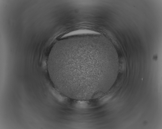 X0000090620573200707311246