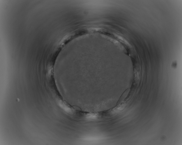 X0000090620574200707311246