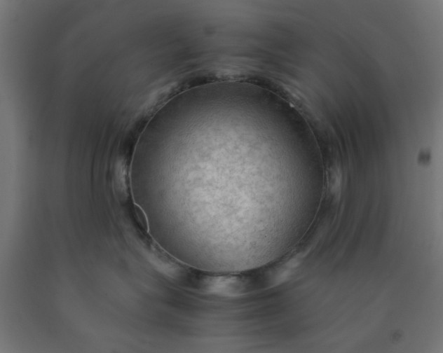 X0000090620575200707311246