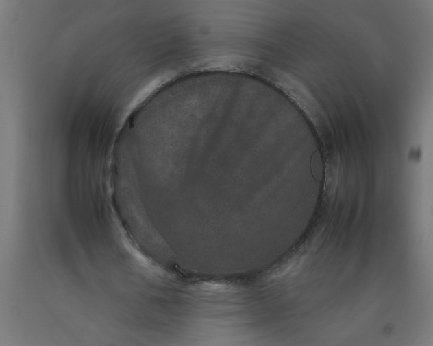 X0000090620578200707311246