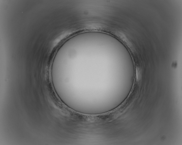 X0000090620579200707311246