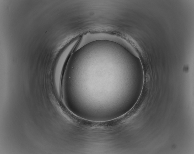 X0000090620581200707311246