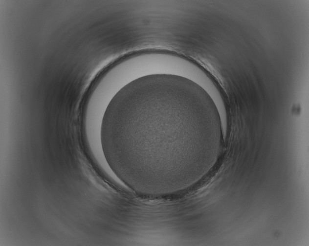 X0000090620584200707311246