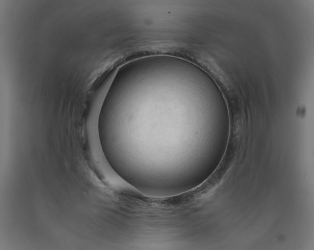 X0000090620585200707311246