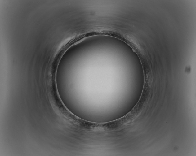 X0000090620587200707311246