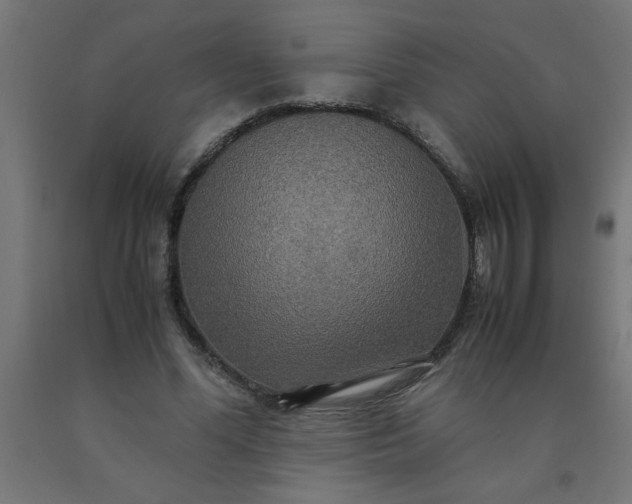 X0000090620588200707311246
