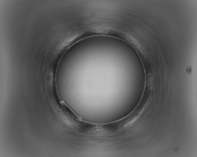 X0000090620589200707311246