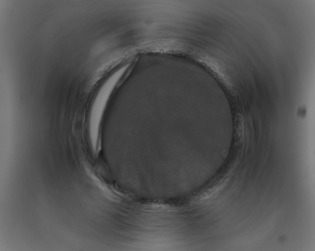 X0000090620590200707311246