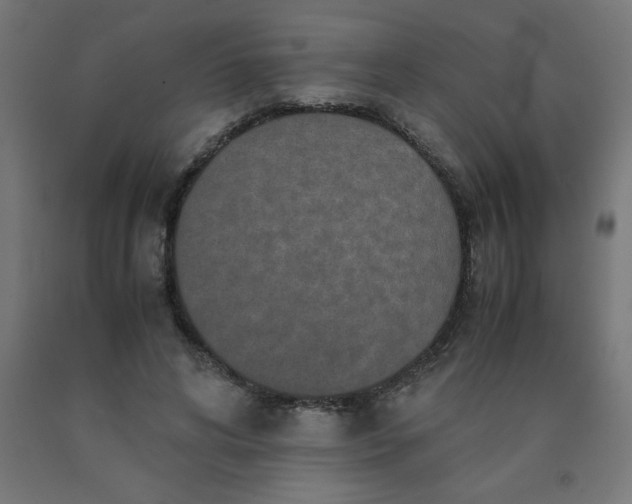 X0000090620592200707311246