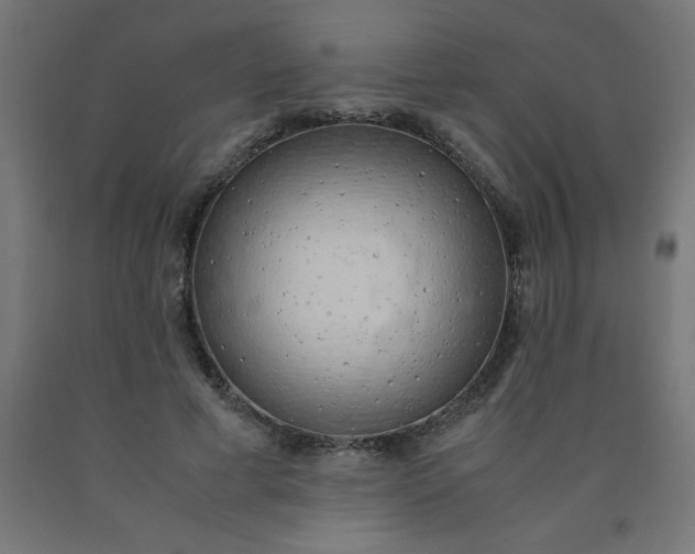 X0000090620593200707311246