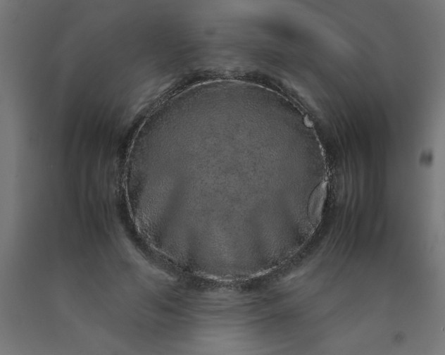 X0000090620594200707311246