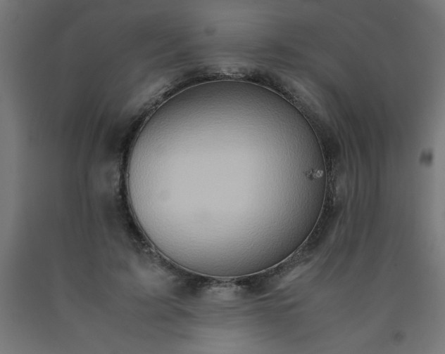 X0000090620595200707311246