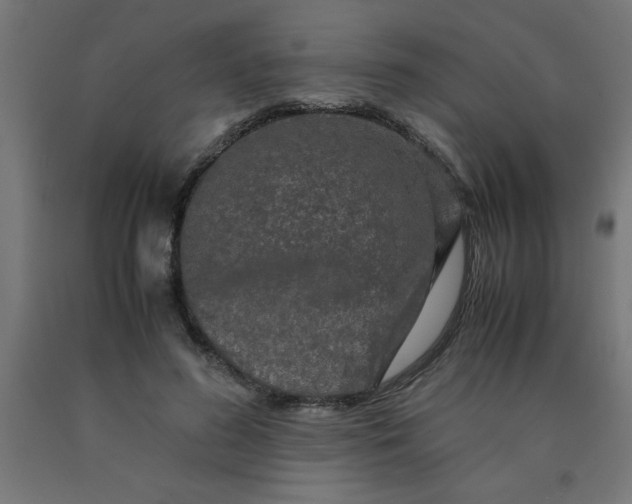 X0000090620596200707311246
