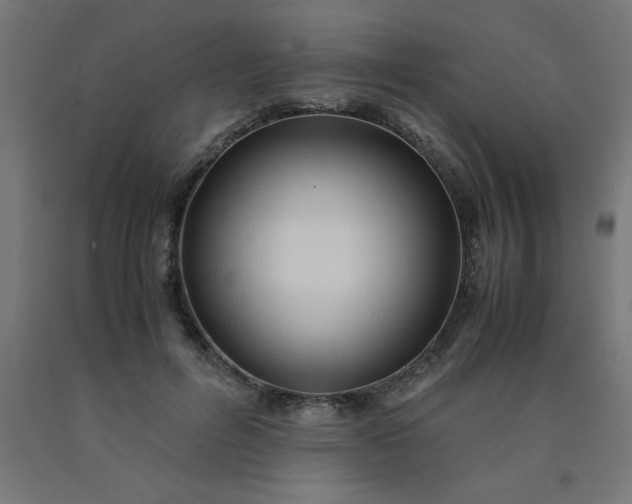 X0000090620600200707311246