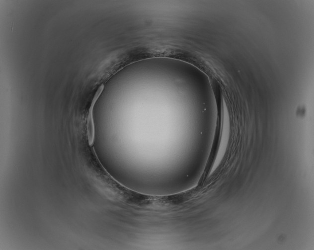 X0000090620601200707311246