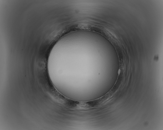 X0000090620603200707311246