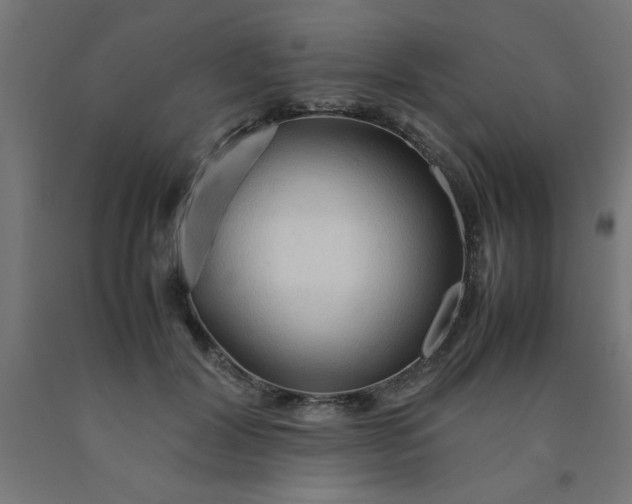 X0000090620604200707311245