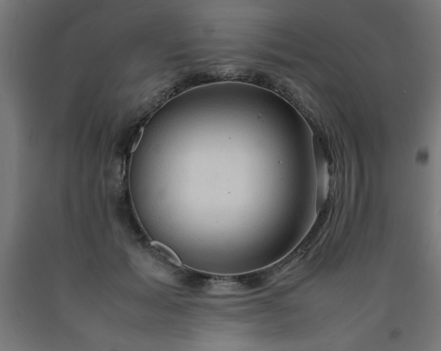X0000090620605200707311245