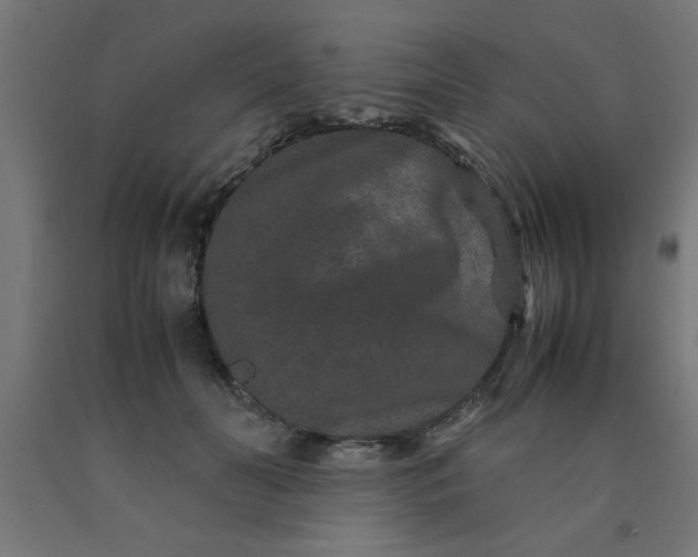 X0000090620606200707311245