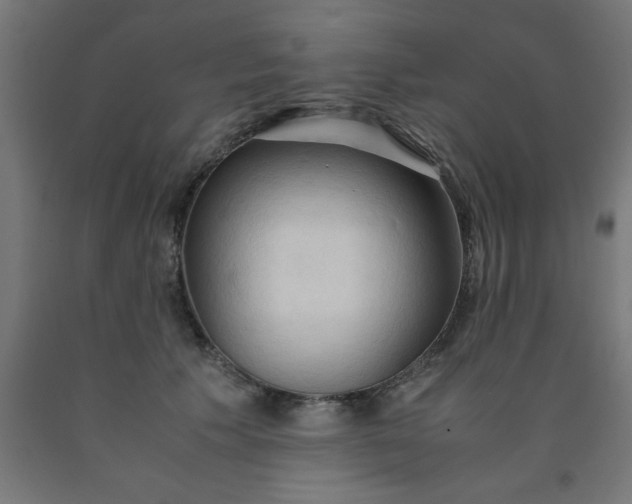 X0000090620609200707311245