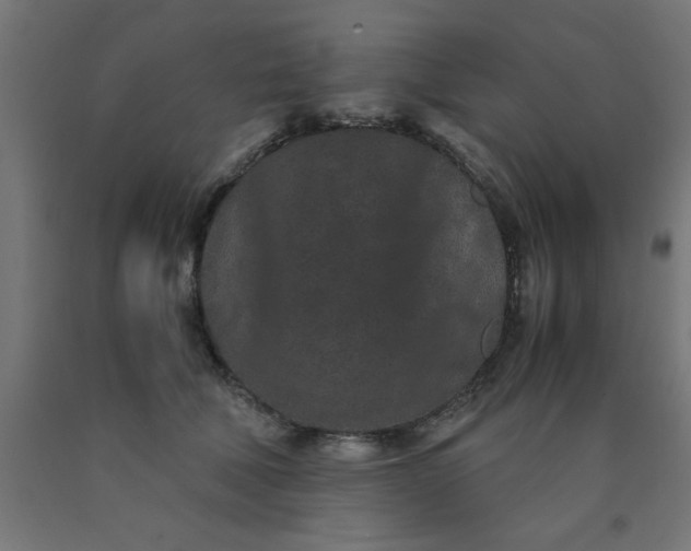 X0000090620610200707311245