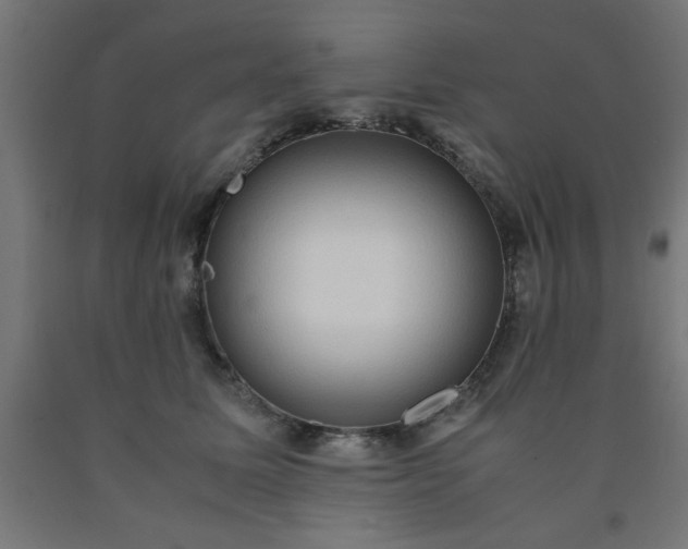 X0000090620611200707311245