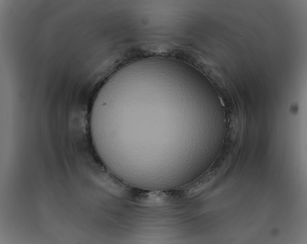 X0000090620612200707311245