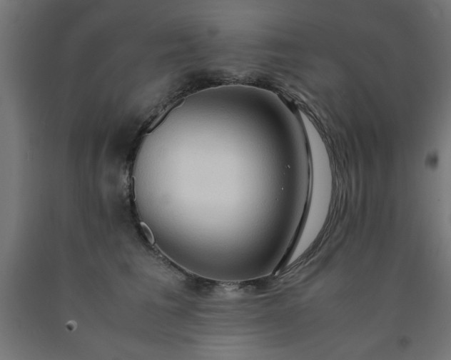 X0000090620613200707311245