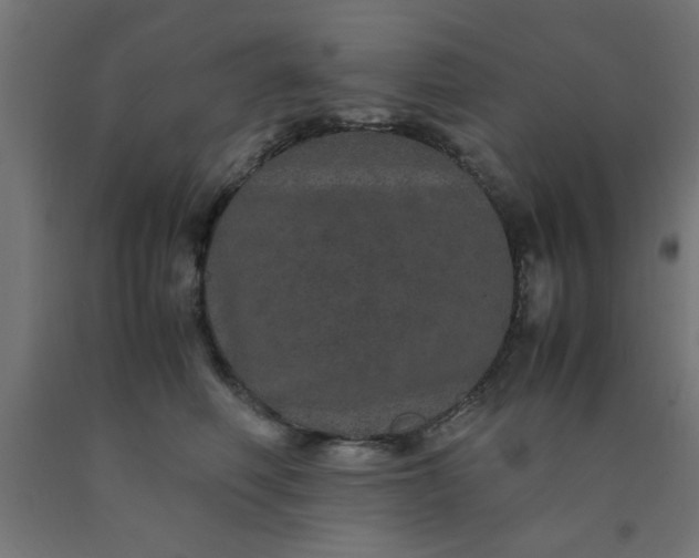 X0000090620614200707311245