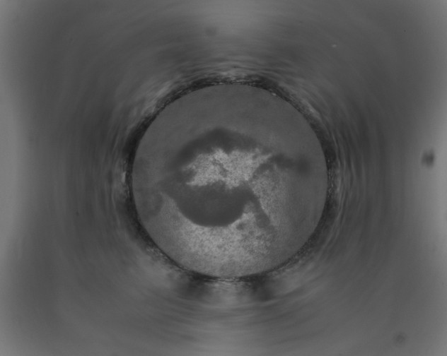 X0000090620615200707311245