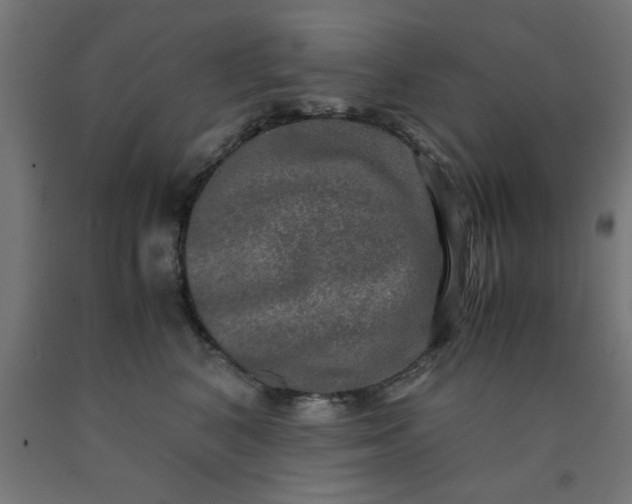 X0000090620616200707311245