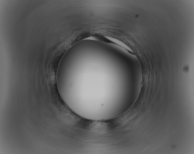 X0000090620617200707311245