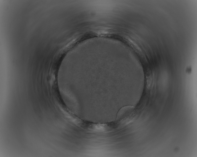 X0000090620618200707311245