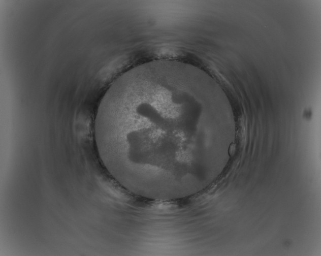 X0000090620619200707311245