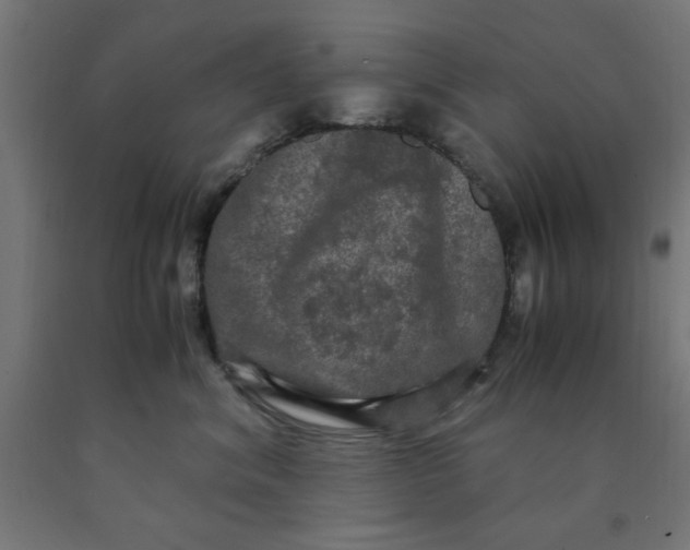 X0000090620620200707311245
