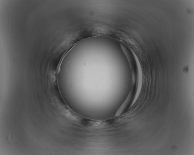 X0000090620621200707311245