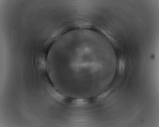X0000090620622200707311245
