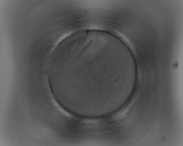 X0000090620625200707311244