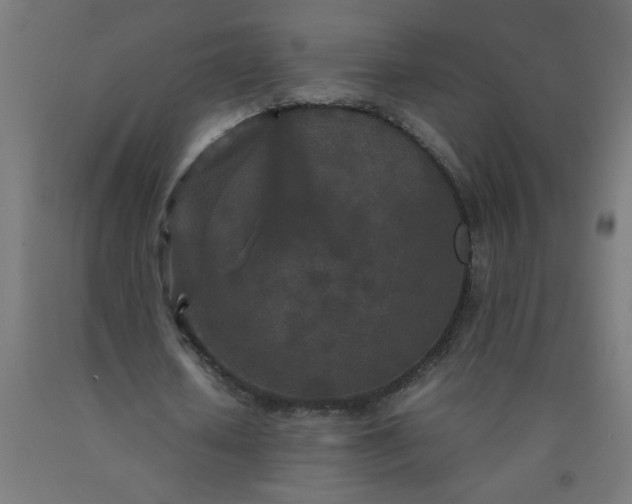 X0000090620626200707311244