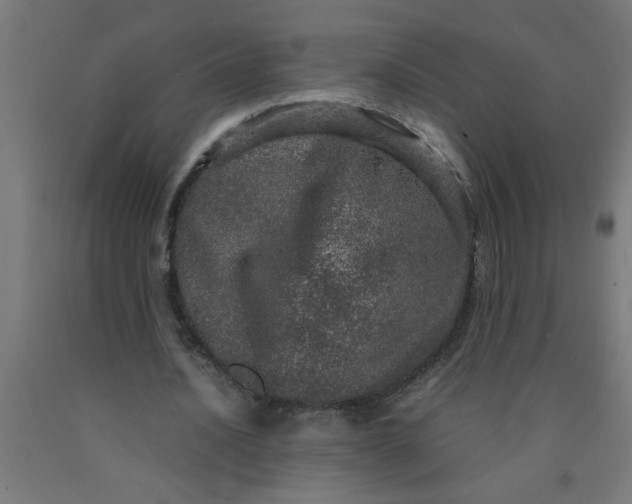 X0000090620628200707311245