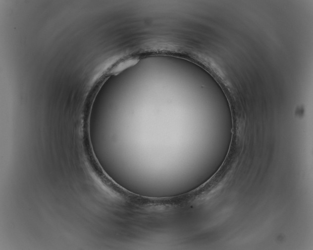 X0000090620629200707311245