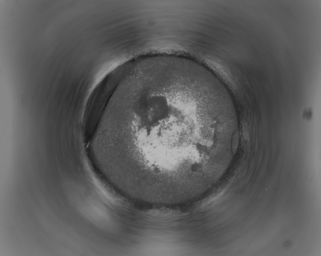 X0000090620630200707311245