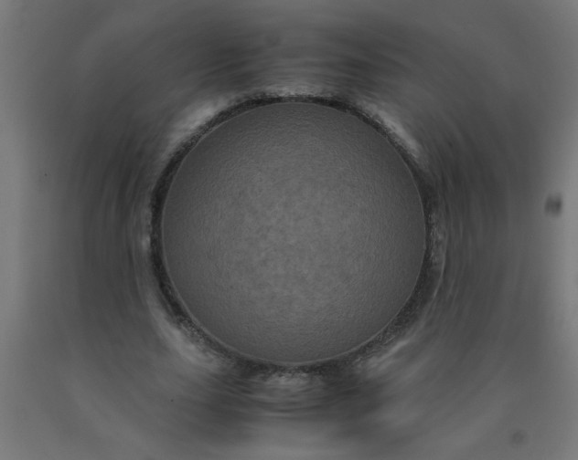 X0000090620631200707311245