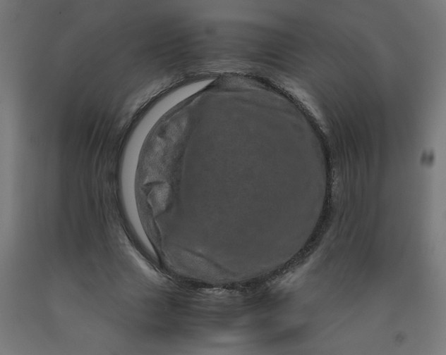 X0000090620633200707311245