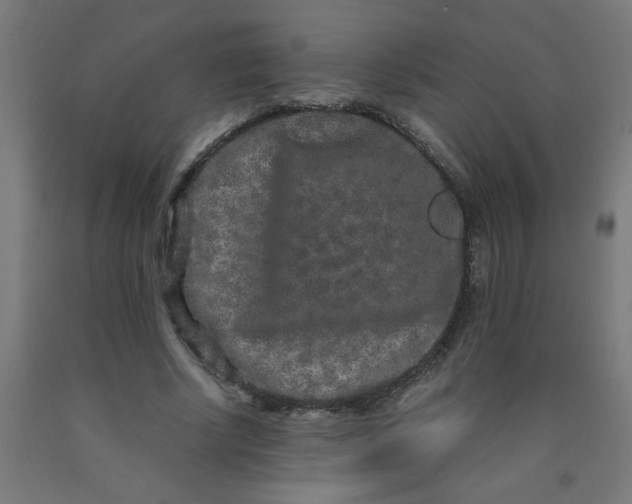 X0000090620634200707311245